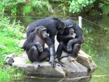 Tierpark Kolmården bei Norrköping
