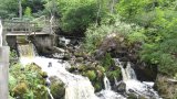 Rundum die Rasmus-Mühle