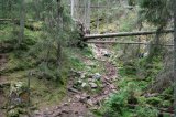Skuru Gata - eine Felsenschlucht bei Eksjö