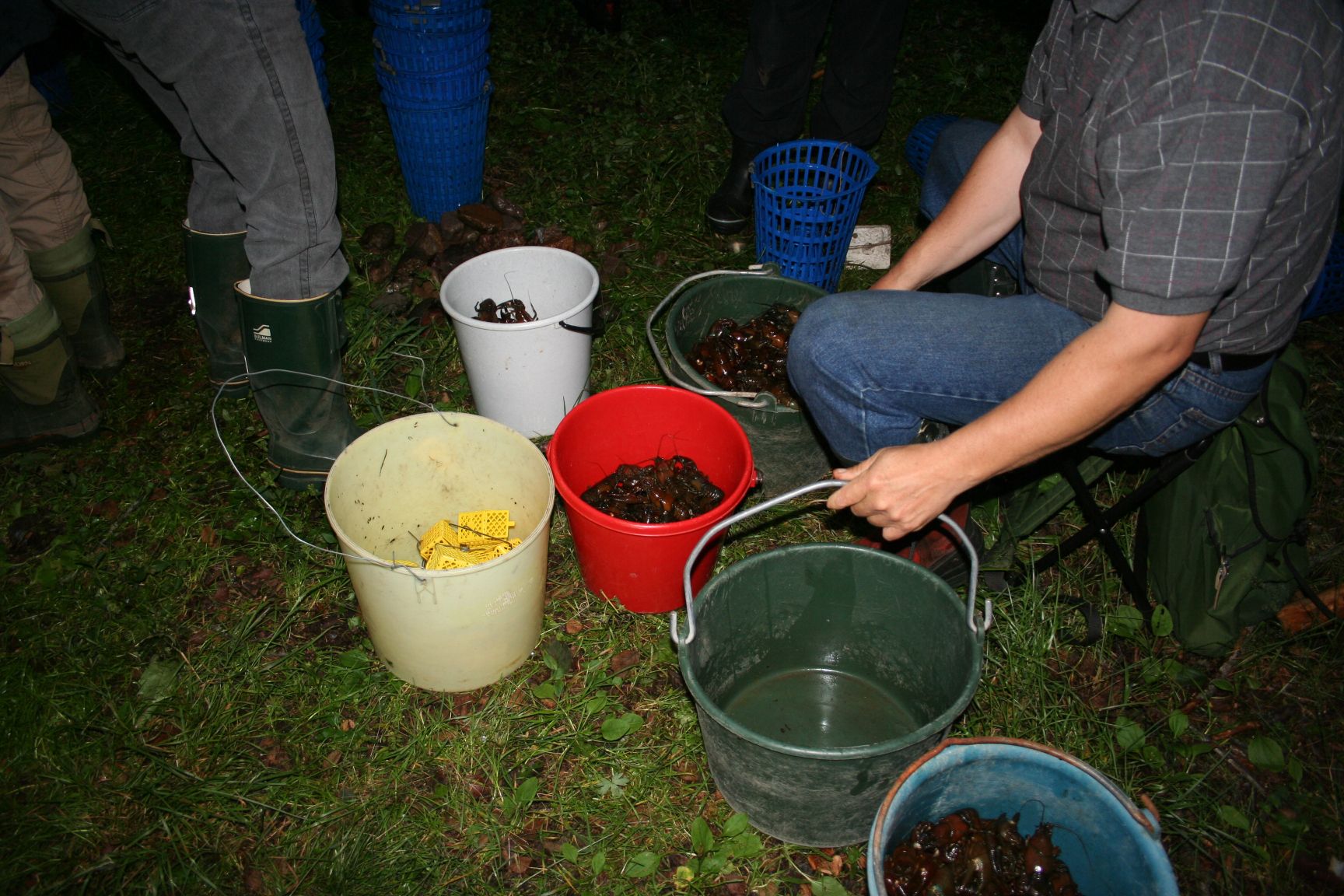 Krebse fangen im August