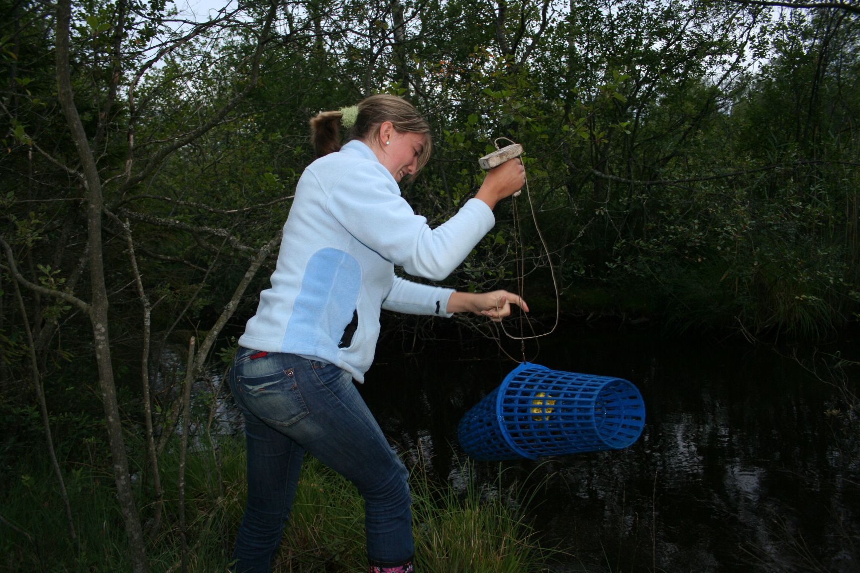 Krebse fangen im August