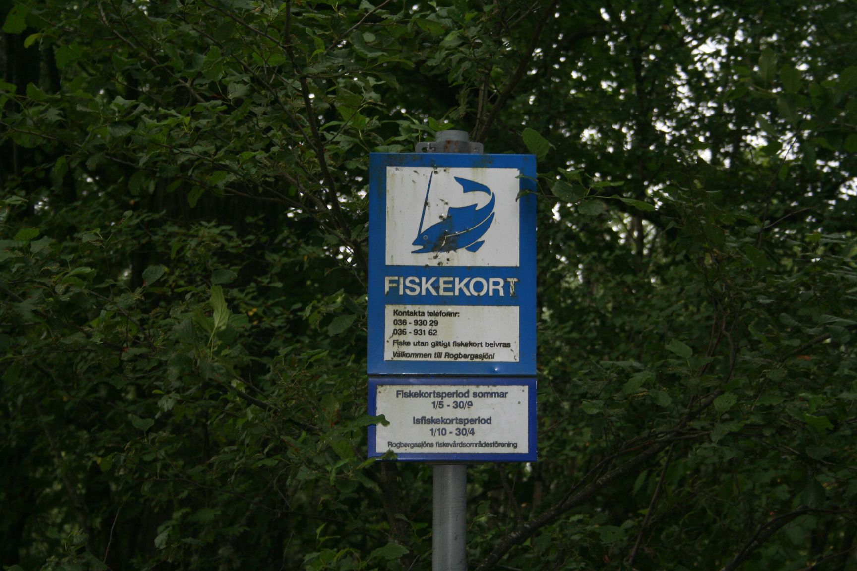 fiskekort Rogbergasjön