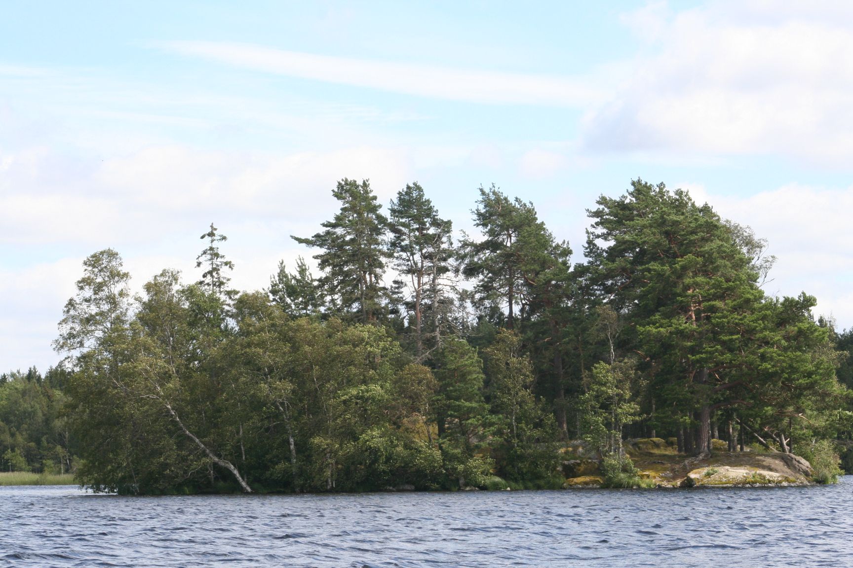 ö i Rogbergasjön
